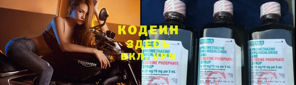 ГАЛЛЮЦИНОГЕННЫЕ ГРИБЫ Барнаул