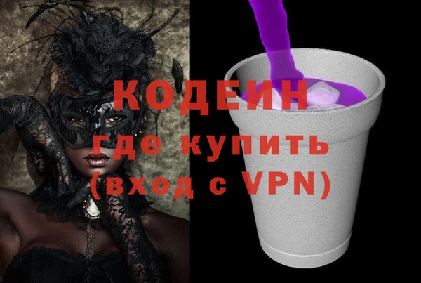 индика Пенза
