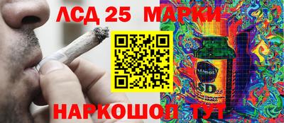 СК Бийск