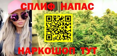 СК Бийск