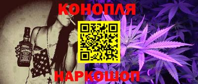 СК Бийск