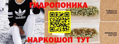 спайс Берёзовский