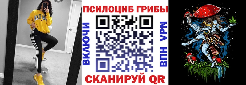 Псилоцибиновые грибы мухоморы  где можно купить наркотик  Новороссийск 