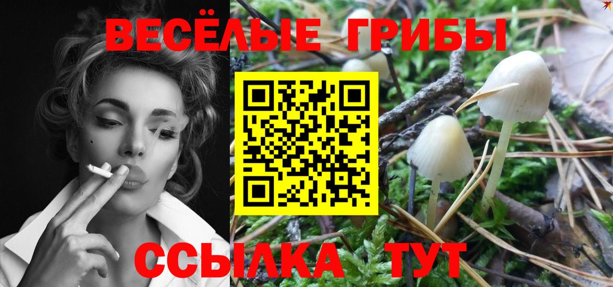 Псилоцибиновые грибы ЛСД  Вход с VPN  Новороссийск 